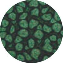 Pébéo - Fantasy Prisme, Pittura ad effetto, 45 ml, Verde foglia