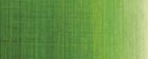 Verde vescica