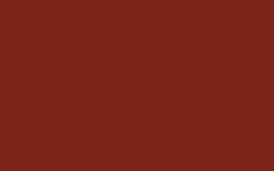 Darwi - Colori acrilici, Opaco, 80 ml, Bruno scuro
