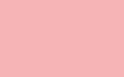 Darwi - Colori acrilici, Opaco, 80 ml, Rosa inglese