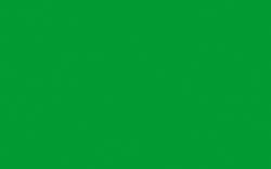 Darwi - Colori acrilici, Opaco, 80 ml, Verde prato