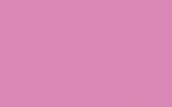 Darwi - Colori acrilici, Opaco, 80 ml, Sorbetto