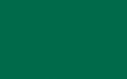 Darwi - Colori acrilici, Opaco, 80 ml, Verde scuro