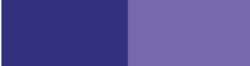 Violetto