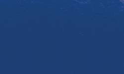 Sennelier - Pennelli Ink Brush, Blu primario