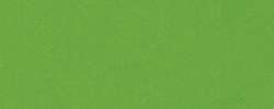 Eberhard Faber - Pastiglie di colore a tempera, I (Ø = 44 mm), Verde erba