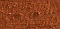 Caran D'Ache - Neopastel, Pastelli a olio sfusi, 68 mm x 10 mm, Bruno rosso