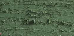 Caran D'Ache - Neopastel, Pastelli a olio sfusi, 68 mm x 10 mm, Verde reseda