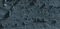 Caran D'Ache - Neopastel, Pastelli a olio sfusi, 68 mm x 10 mm, Nero grigio