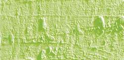 Caran D'Ache - Neopastel, Pastelli a olio sfusi, 68 mm x 10 mm, Verde tiglio