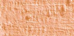 Caran D'Ache - Neopastel, Pastelli a olio sfusi, 68 mm x 10 mm, Rosso salmone