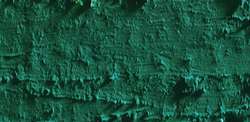 Caran D'Ache - Neopastel, Pastelli a olio sfusi, 68 mm x 10 mm, Verde smeraldo