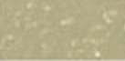 Gallery - Artists Handmade Soft Pastell, Pastelli morbidi, Beige oliva
