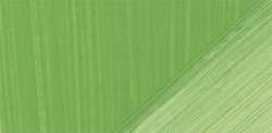 Verde cromo chiaro