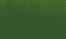 Sennelier - Pennelli Ink Brush, Verde oliva