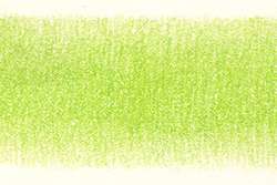 Derwent - Matita colorata Coloursoft, Light Green