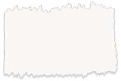 Schmincke - Akademie, Acquerelli fini, 1/2 godet, Bianco opaco