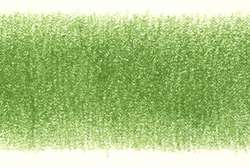 Derwent - Matita colorata Coloursoft, Pea Green