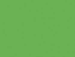 Essdee - Inchiostri per linoleografia fluo, 300 ml, Verde fluo