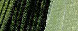 Verde bosco
