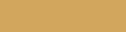 Copic Ink - Ricarica d'inchiostro, 12 ml, Lionet Gold Nr Y28