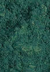 Sennelier - Pigmenti puri per artisti, Bar. 200 ml, Verde di cobalto scuro 120 g