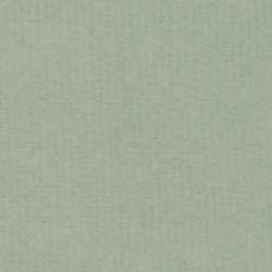 Hahnemühle - Durer Ingres, fogli singoli, 48 cm x 62,5 cm, Verde scuro