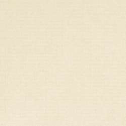 Hahnemühle - Durer Ingres, fogli singoli, 48 cm x 62,5 cm, Avorio