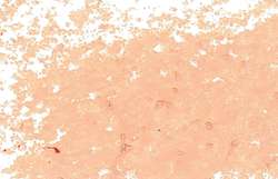 Jaxon - Pastelli ad olio, singoli, Rosa salmone