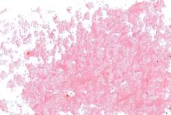 Jaxon - 1000, Pastelli ad olio singoli, Rosa di garanza
