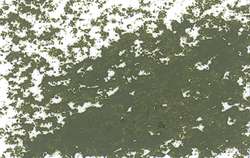 Jaxon - Pastelli ad olio, singoli, Verde foglia
