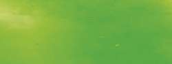 Hobbyring - Colori a cera per encausto, Colori singoli, Verde giallo