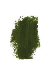 Girault - Pastelli extra fini sfusi, Vert feuilles 200