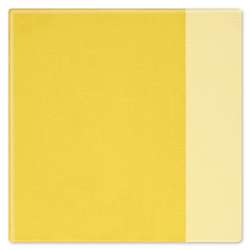 Gerstaecker - NEO Acryl, 750 ml, Tonalità giallo di cadmio