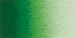 Verde permanente n.2