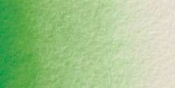 Verde permanente n.1