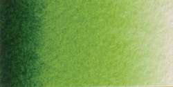 Verde vescica