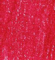 Lyra - Rembrandt, Polycolor, Matite colorate per artisti, Carminio scuro