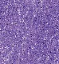 Lyra - Rembrandt, Polycolor, Matite colorate per artisti, Violetto scuro