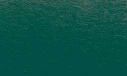 Sennelier - Pennelli Ink Brush, Verde abete