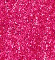 Lyra - Rembrandt, Polycolor, Matite colorate per artisti, Carminio chiaro