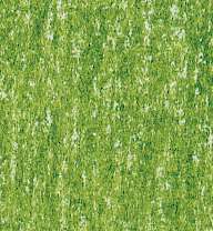 Lyra - Rembrandt, Polycolor, Matite colorate per artisti, Verde cromo