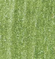 Lyra - Rembrandt, Polycolor, Matite colorate per artisti, Verde vescica