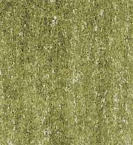 Lyra - Rembrandt, Polycolor, Matite colorate per artisti, Verde oliva