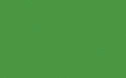 Schmincke - College Linol, Colori per linoleografia, Tb. 75 ml, Verde