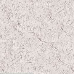 Clairefontaine - Ingres Pastel, fogli per pastello, Grigio chiaro