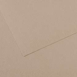 Canson - Mi-Teintes, Fogli colorati per artisti, 50 x 65 cm, Grigio flanella