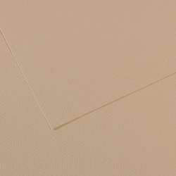 Canson - Mi-Teintes, Fogli colorati per artisti, 50 x 65 cm, Grigio trianon