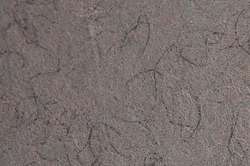 Clairefontaine - Etival Color, Carta da disegno, A4 - conf. 25 ff., Grigio screziato