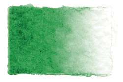 Gerstaecker - Studio acquerelli, Godet intero, Verde vescica